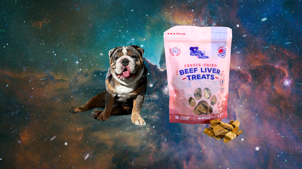 Exploring Freeze-Dried Dog Treats: Are They Healthy?